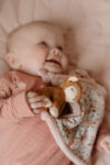 LD9027-Product-Cuddle-cloth-print-Deer-Fairy-Garden-1