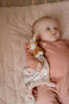 LD9027-Product-Cuddle-cloth-print-Deer-Fairy-Garden-1