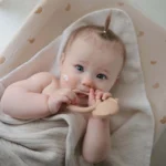 Mushie purulelu koira ja jänis