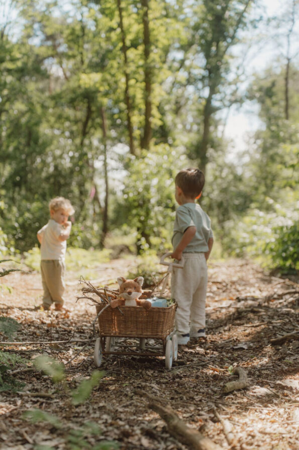 Little Dutch mängukohvrite komplekt Forest Friends