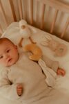 Little Dutch kinkekomplekt beebile Newborn Naturals