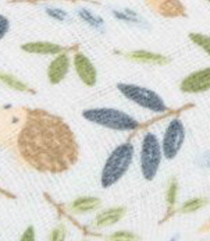 Forest Adventure and Denim Blue