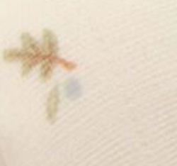 Forest Treasures and Sage