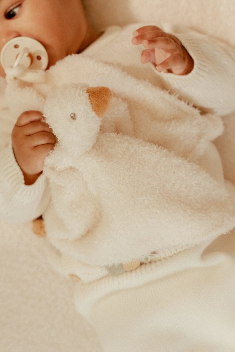 cuddle-cloth-little-goose-ld8427-7-Large Little Dutch cuddle cloth Little Goose