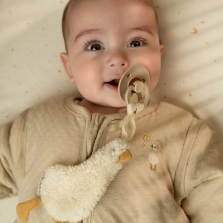 Rõõmus beebi- ja lastepood Little Dutch lutihoidja Little Goose