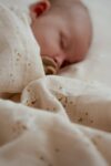 Little Dutch Baby Swaddle Muslin 120 x 120 cm