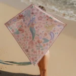 Little_Dutch_kite