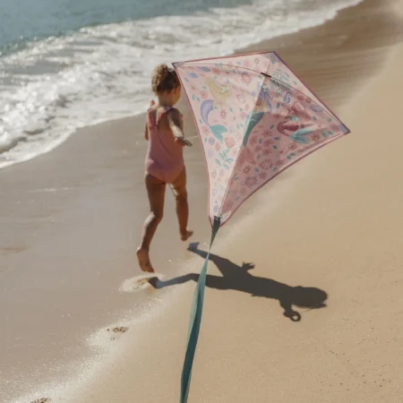 Little Dutch kite