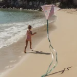 Little_Dutch_kite