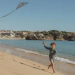 Little_Dutch_kite