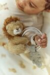 little-dutch-kõristiga-lõvike-ld8314-product-1-Medium