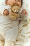 little-dutch-kõristiga-lõvike-ld8314-product-1-Medium