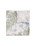 Plumbago